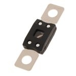 Heavy Duty Fuse 200A - Image 3