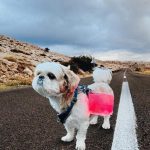 Twilight – Mini Origami Solar Lantern - Image 5