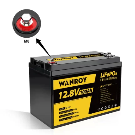 WANROY 12V 100Ah LiFePO4 Battery With 100A BMS