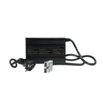 LiFePO4 Charger 48v 20A