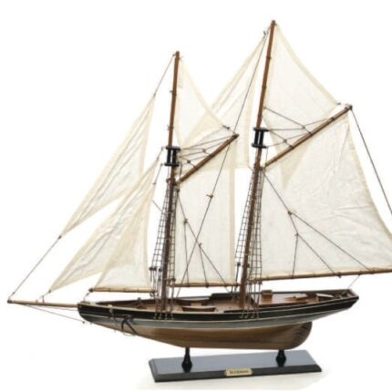 Bluenose